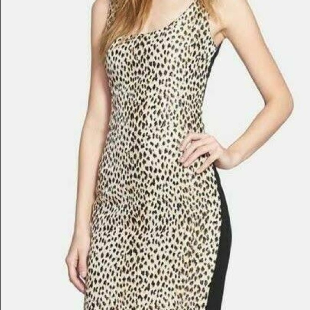 Leopard Print Diane von Furstenberg Midi Dress